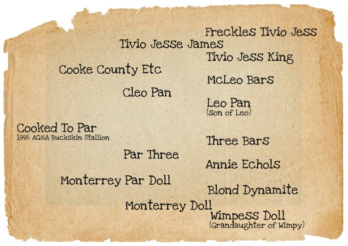 AQHA Pedigree for Cooked To Par, 1998 Buckskin Stallion