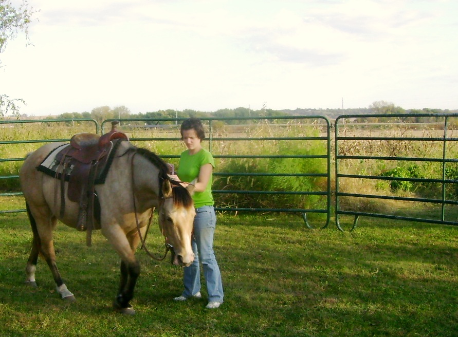 Training My New Mare Under Saddle