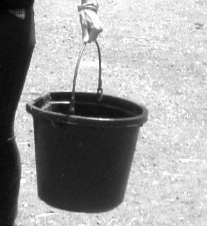 Hand Carrying Horse Water Bucket