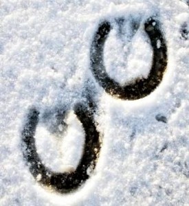 Horse Tracks in the Snow