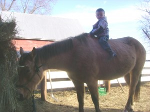 Riding Bareback