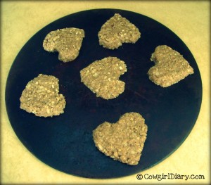 Heart Shaped Horse Treats For Valentines Day
