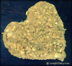 Oatmeal Horse Treat Recipe