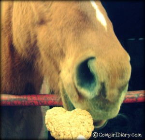 Daisy Trying A Homemade Horse Treat
