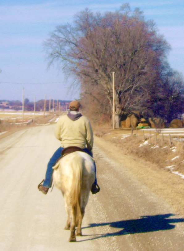 Riding Cricket Back To The Farm