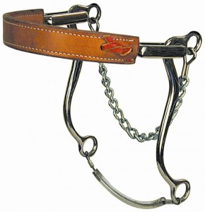 Choosing A Bit For Your Horse - The Mechanical Hackamore