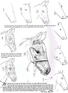 How To Draw Horses by Walter Foster