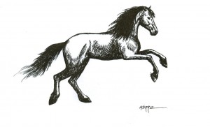 How To Draw Horses