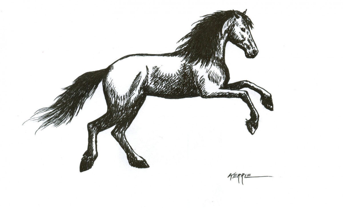 How to Draw a Realistic Horse