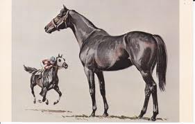 Race Horse Painted by Sam Savitt