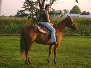 My Mare Daisy and Me