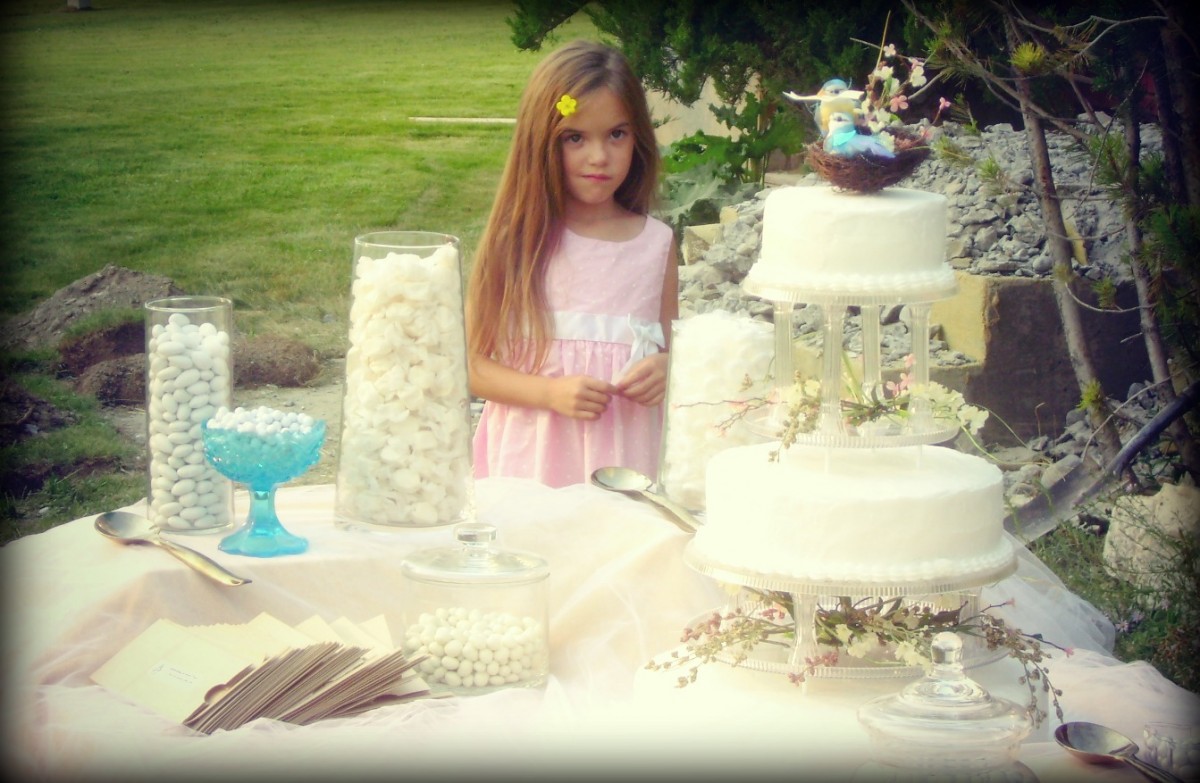 Candy Buffet and Cake Table