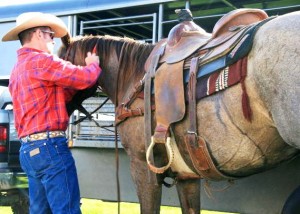 How To Buy Affordable Horse Tack