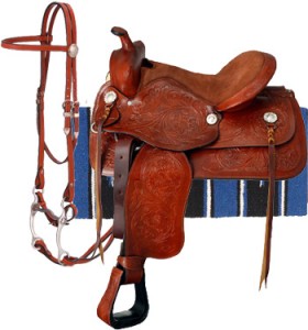 How To Buy A Saddle