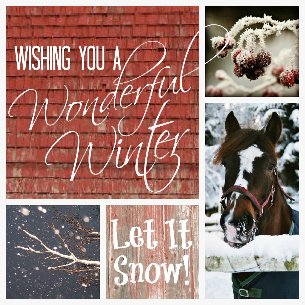 Have A Wonderful Winter