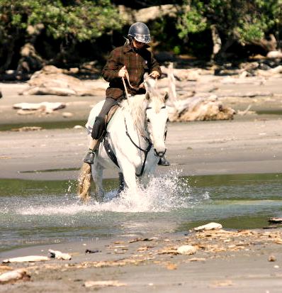Training A Horse To Cross Water