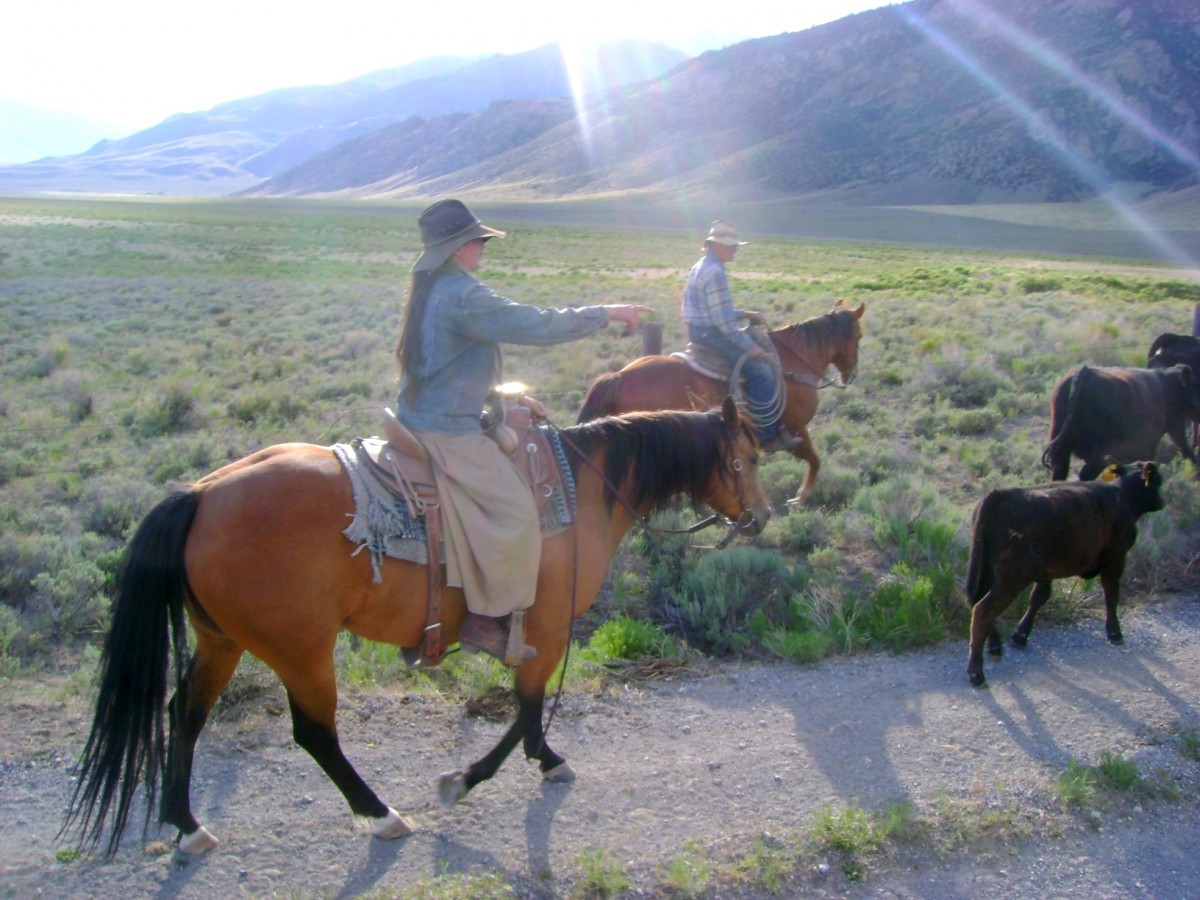 Karmen Riding Chicory in the Mountains