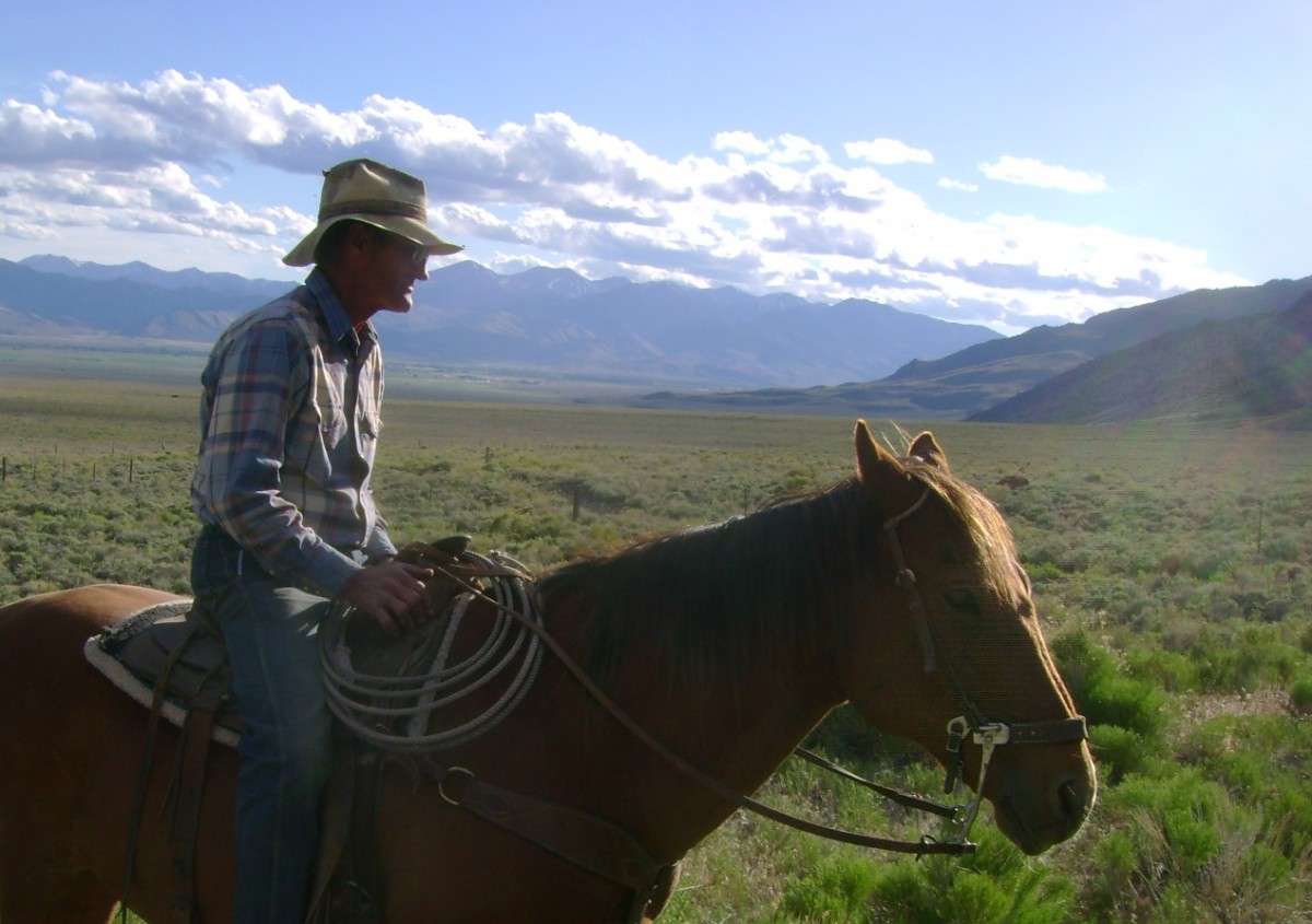 Working Cattle with my dad