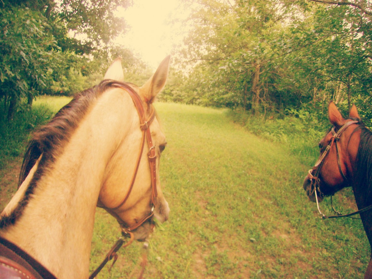 Penny and Hopper at Hacklebarney