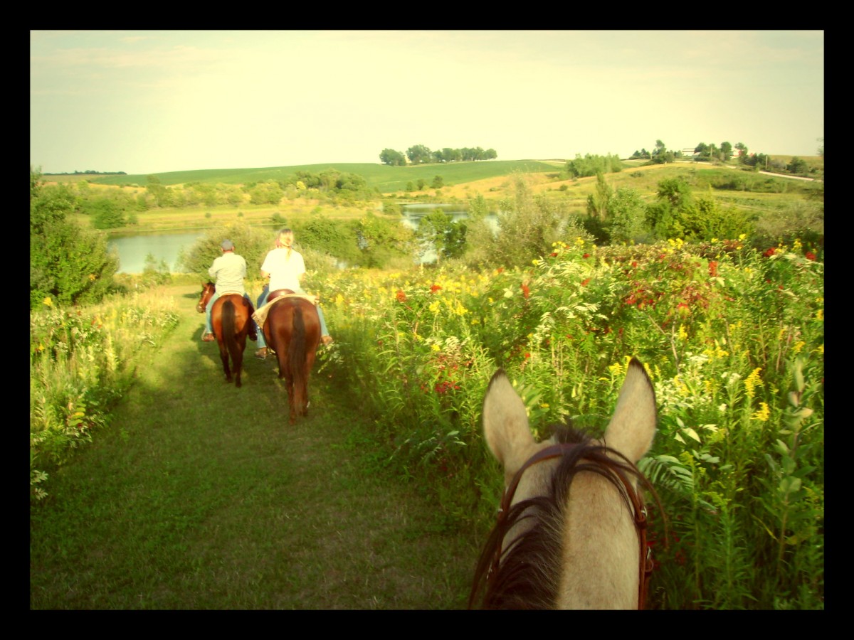 Horseback Riding At Pierce Creek