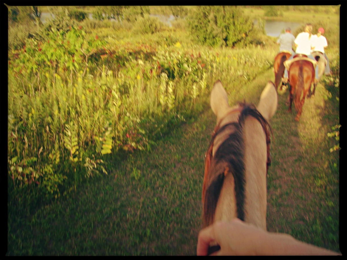 Pierce Creek Horseback Riding Trails