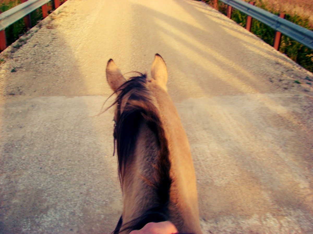 Crossing A Bridge On Horseback