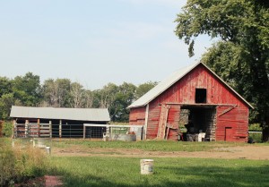 The Farm