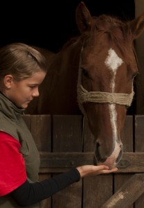 A Girl And Her Horse