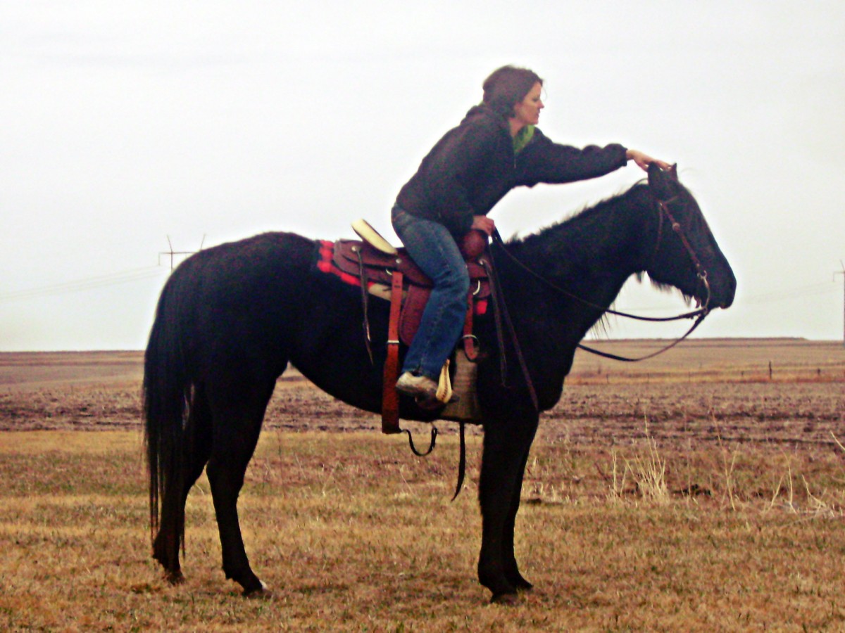 Fixing Sugar's Forelock