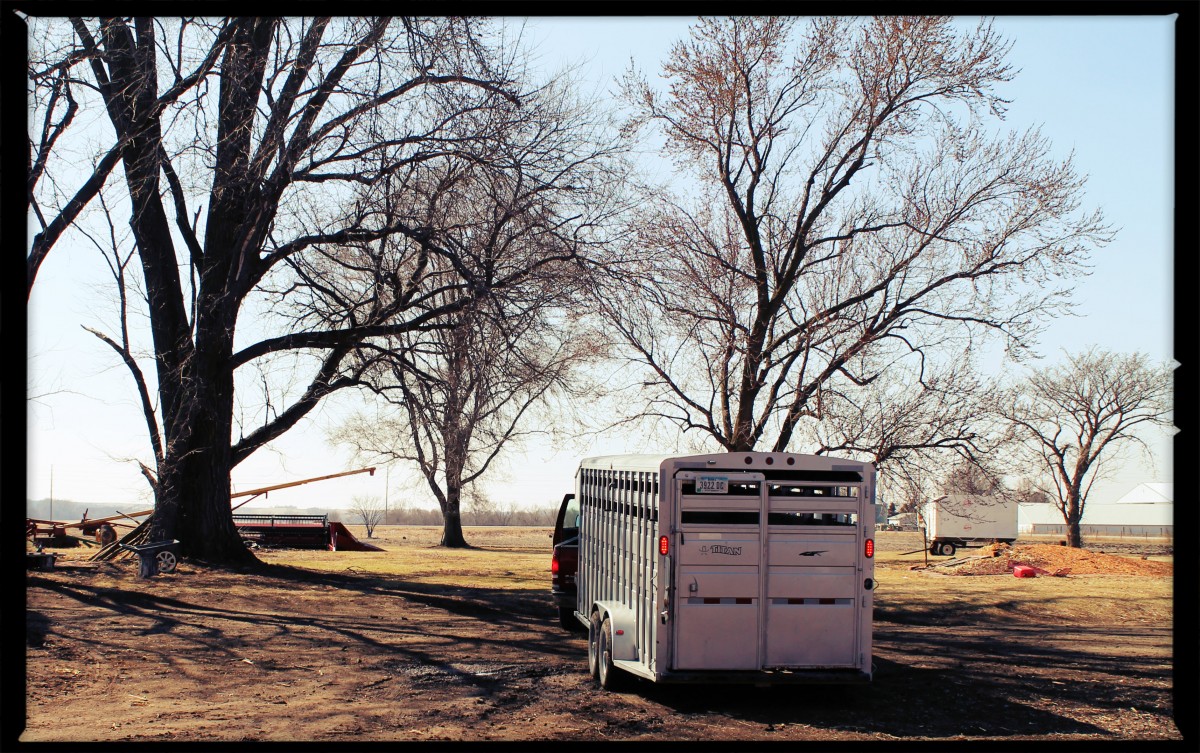 Backing Up The Trailer to Load Dorothy