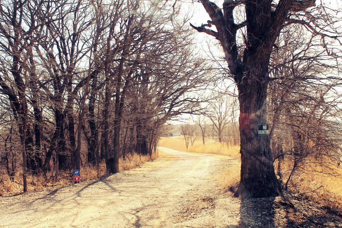 The Driveway to Dorothy's New Home