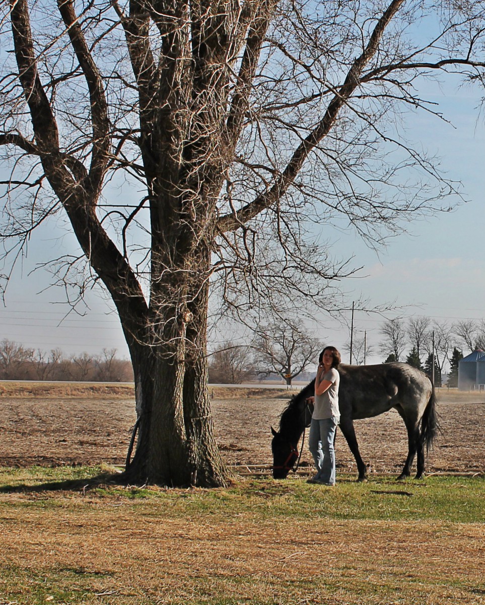 My New Mare in Iowa