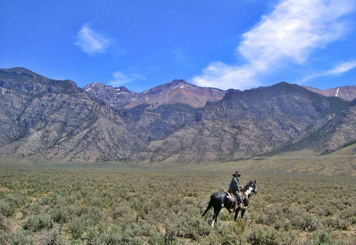 Riding Horses in the Idaho Mountains