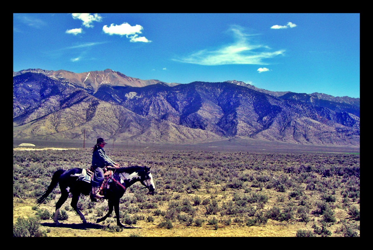 Riding Through Sagebrush