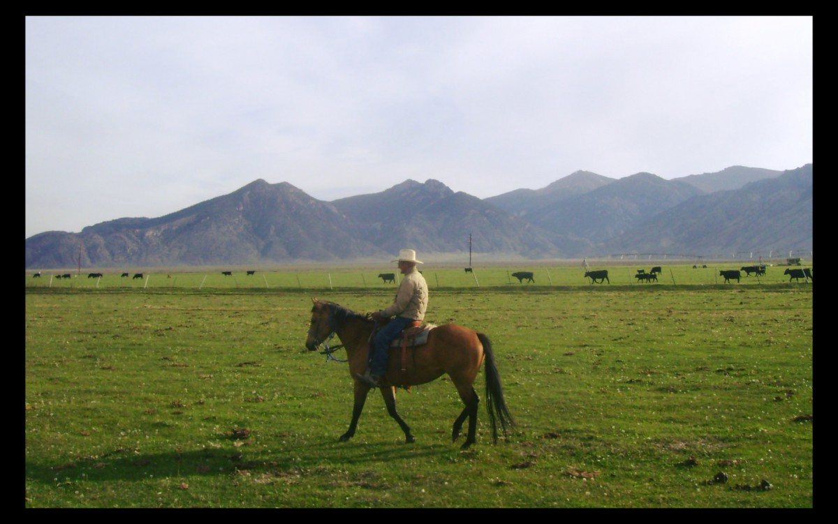 Dad Riding Donegal