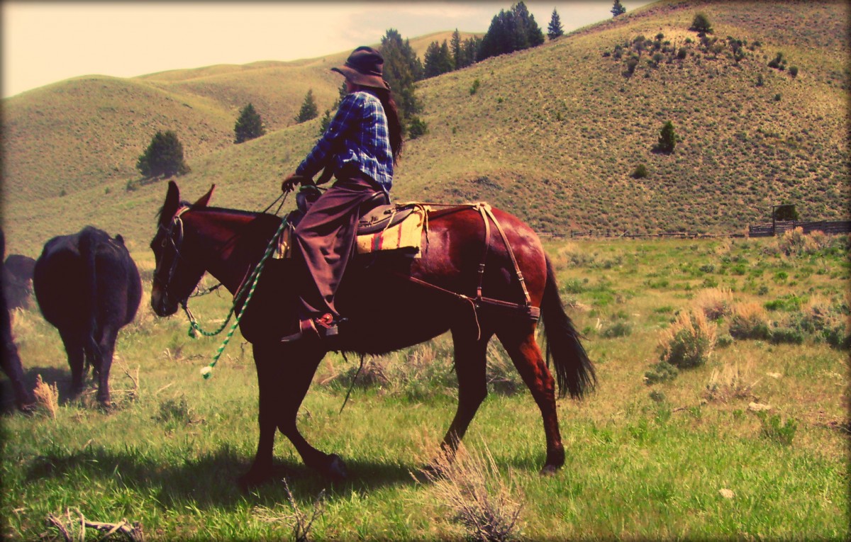 My Sister on Her Mule Garnet