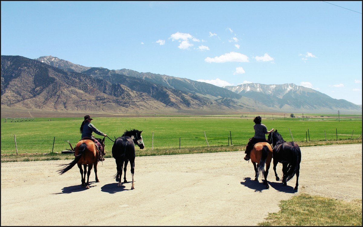 Riding Horses in Idaho