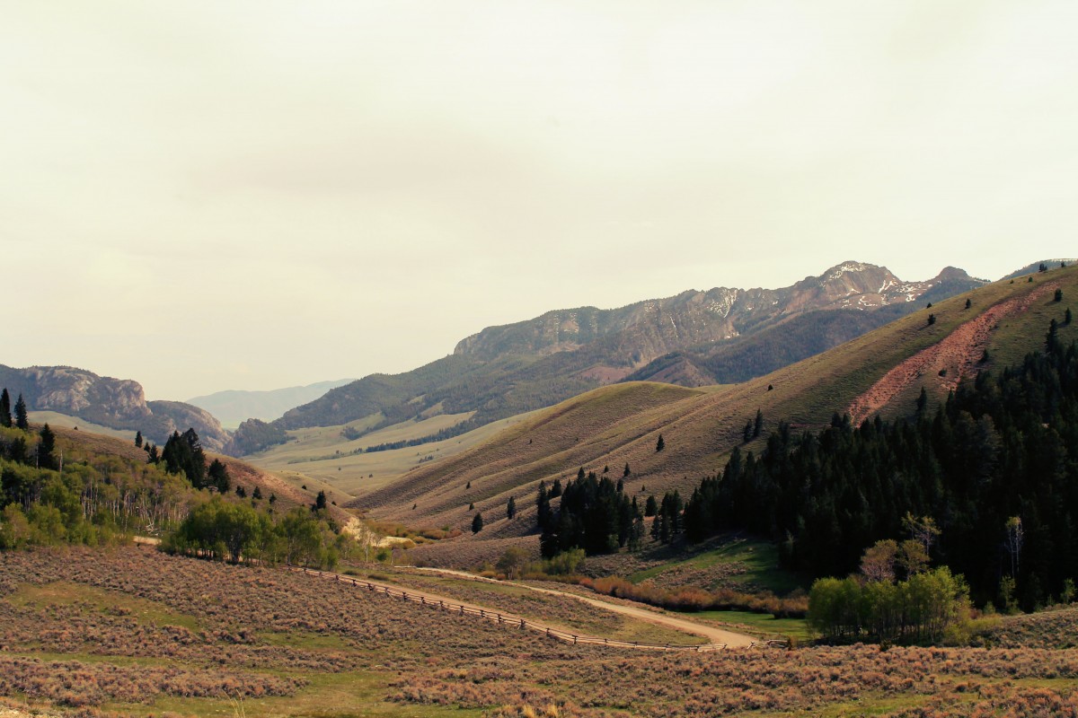 View From Pass Creek Summit, Near Mackay, Idaho