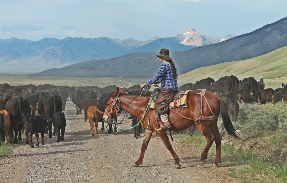 Karmen Riding Her Mule Garnet