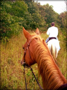 October Trail Ride in Iowa