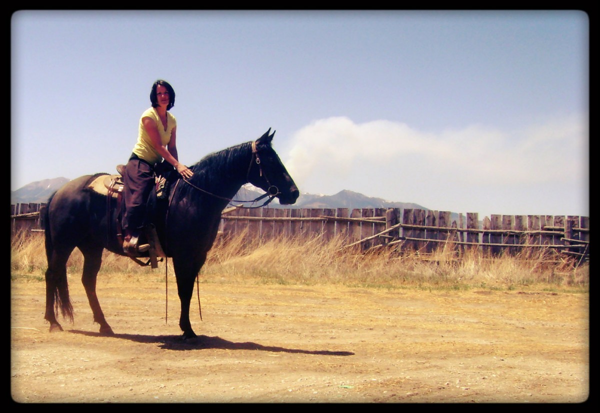 Stormy, Black AQHA Mare For Sale in Idaho