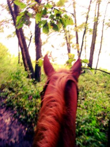 Trail Riding In Iowa