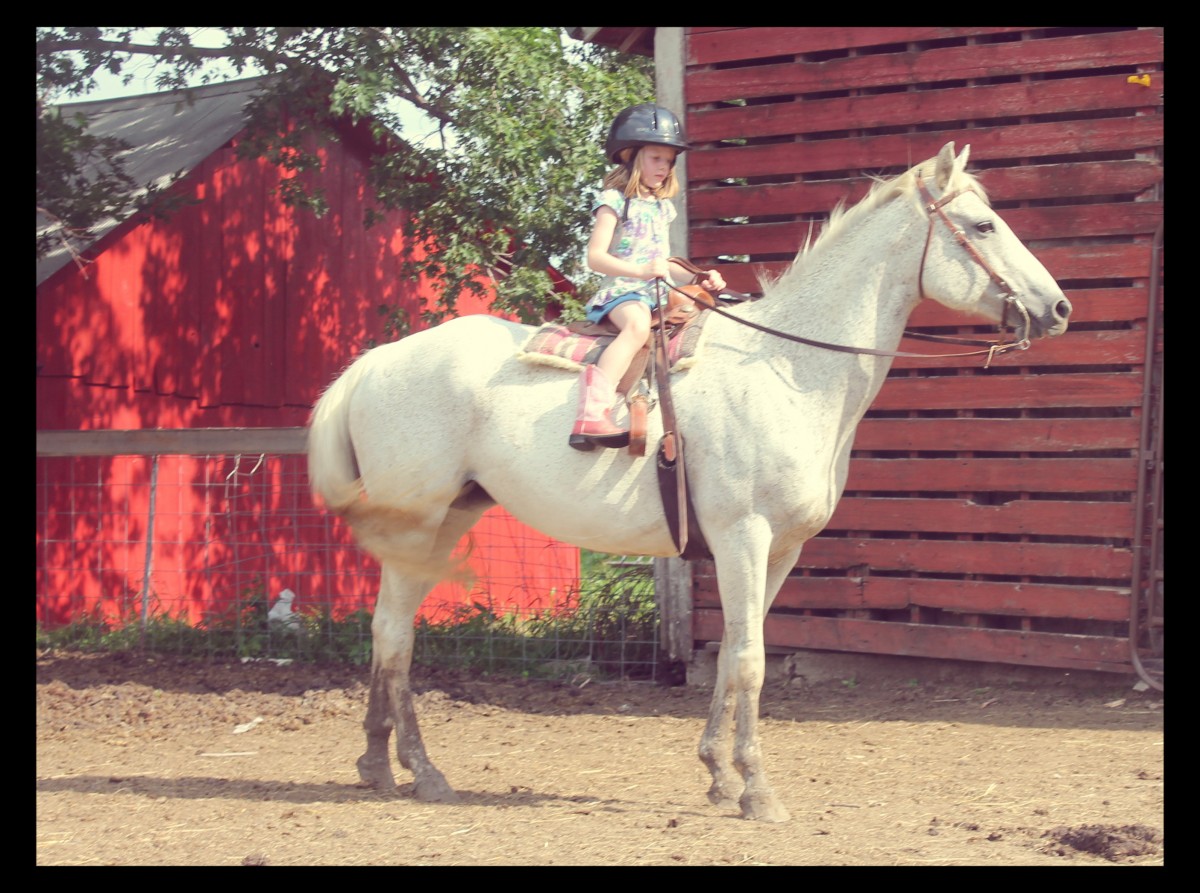 Kids Riding Horses