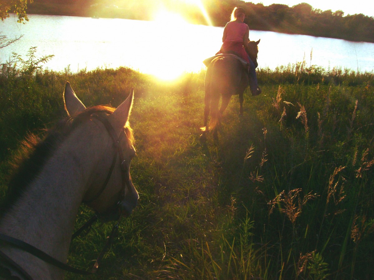 Riding Horses At Pierce Creek Equestrian Trails in Fall