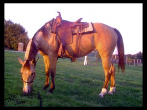 Horseback Riding in Fall