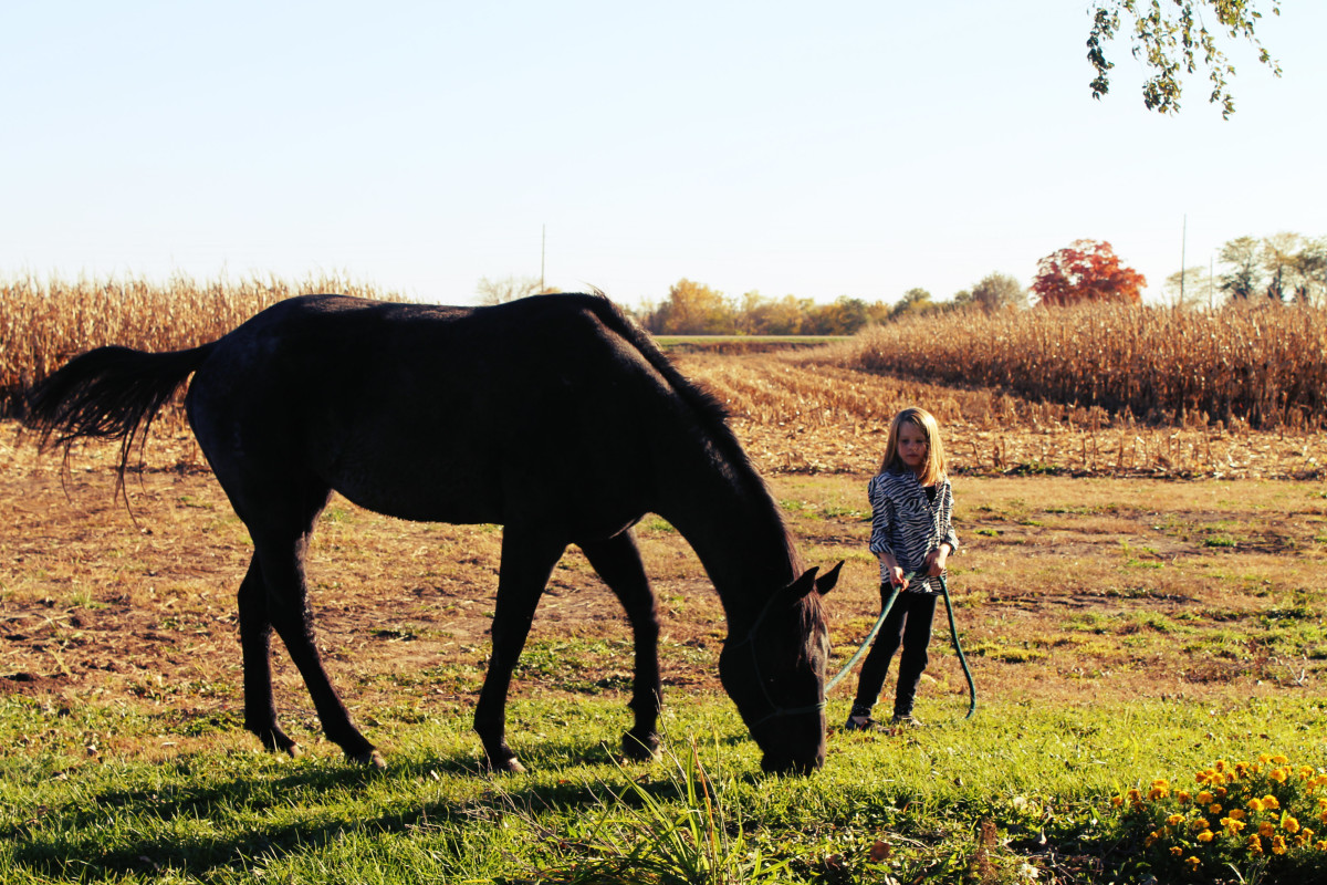 Niece Kate and the Blue Roan Mare