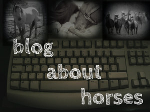 Blog About Horses