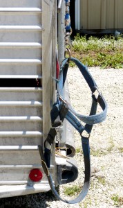 Halter Tied To Horse Trailer