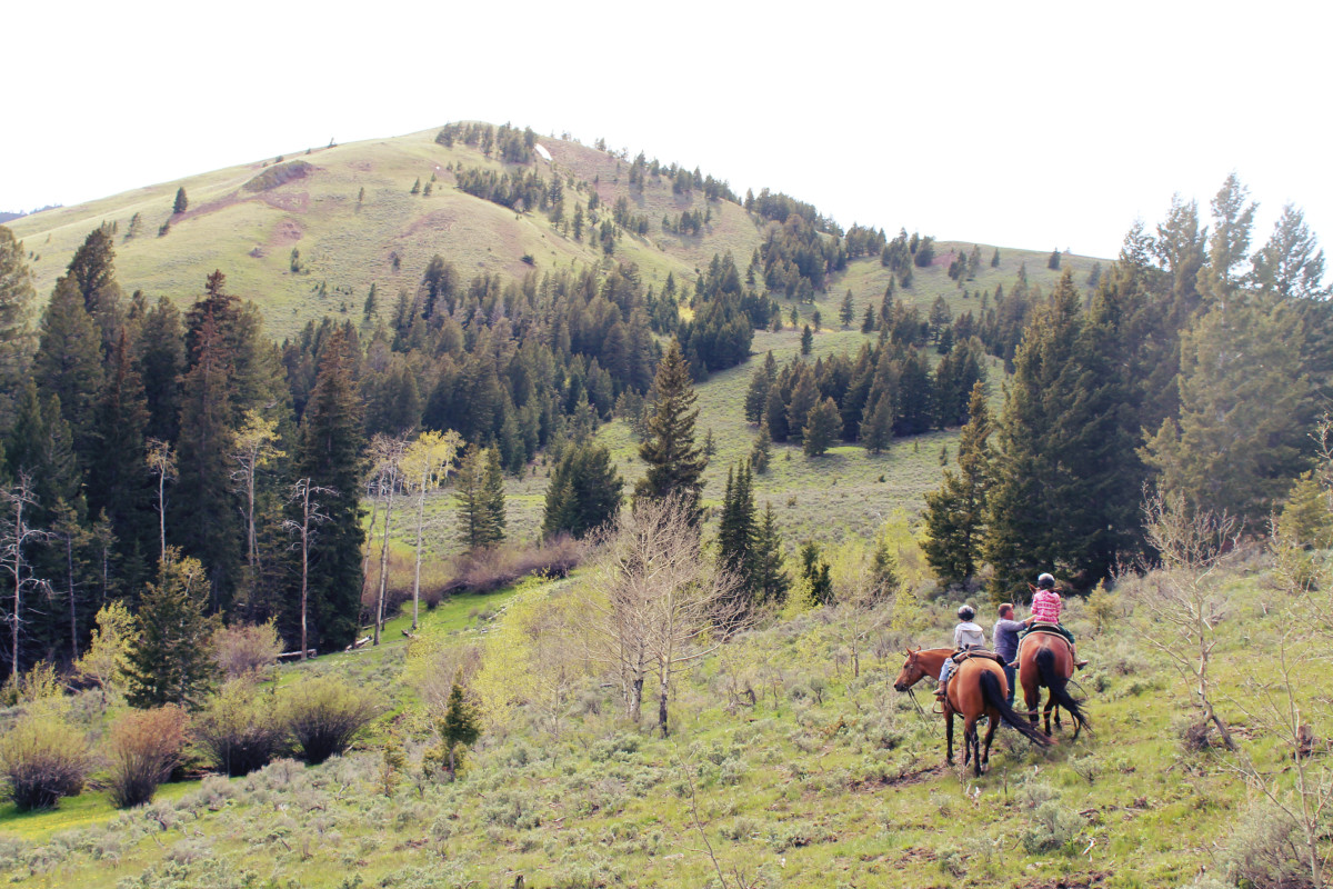 Horseback Riding in the Mountains