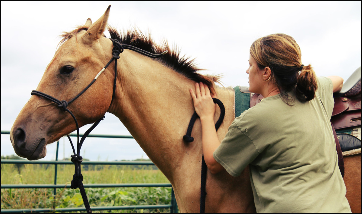 Training Our Colt to Ride